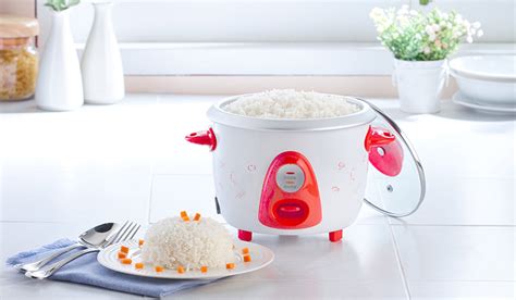 Rice Cooker Vs Pressure Cooker What To Buy And Why Stuffoholics