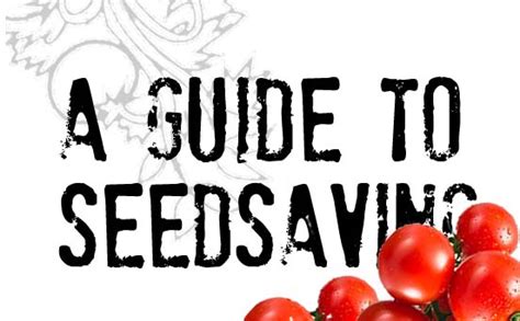 Free Seed Saving Guide Seedfreaks Sow The Change You Want To Seed