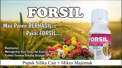 Forsil Pupuk Silika Cair Mikro Majemuk Youtube