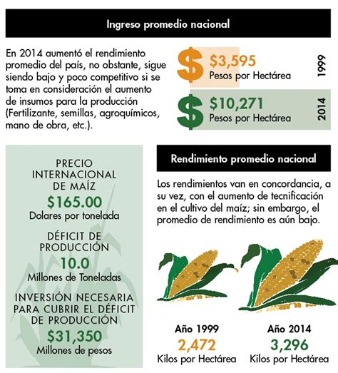 Reduciendo el déficit de producción de maíz mexicano Hortalizas