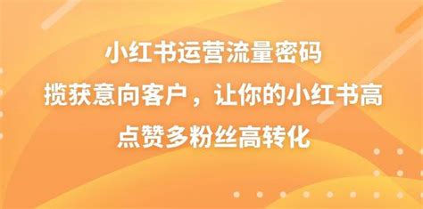 小红书运营流量密码，揽获意向客户，让你的小红书高点赞多粉丝高转化 高羽网创