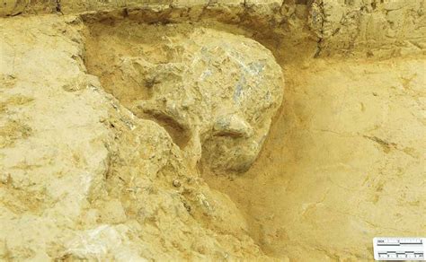 Il Ritrovamento Di Un Homo Erectus In Cina Fa Emozionare Tutti Gli Studiosi