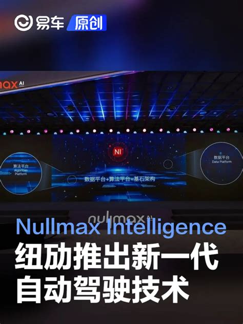 Nullmax Intelligence