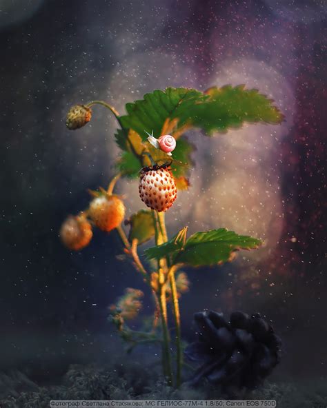 Магия на Гелиос-77м-4 от Светланы Стасяковой | Радожива