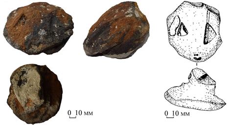 8,300-Year-Old Stone Snake Heads Reveal Stone Age Ritual Ceremonies | Live Science