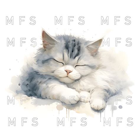 Watercolor Overweight Cats Clipart 20 High Quality S Instant