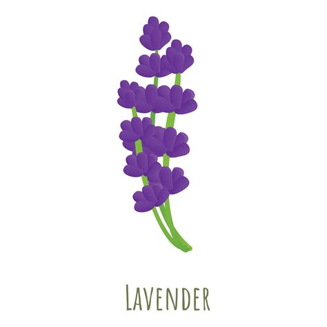 Lavender Plant Icon Cartoon Style 14218084 Vector Art At Vecteezy