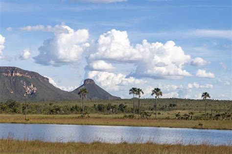 Cerrado Brasileiro Lugares Que Voc N O Pode Perder