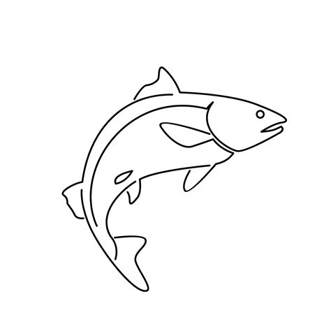 Premium Vector Salmon Fish Outline Illustration