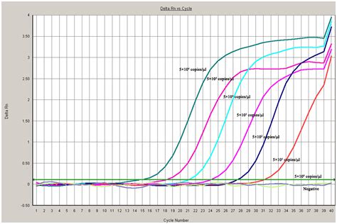 Taqman Real Time Pcr Assays Abm