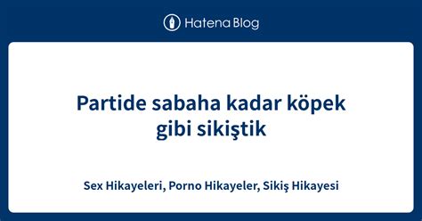 Partide sabaha kadar köpek gibi sikiştik Sex Hikayeleri Porno