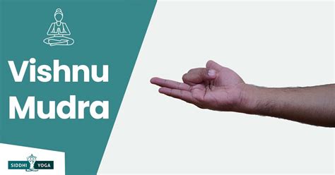 Vishnu Mudra Su Significado Beneficios Y C Mo Hacer Siddhi Yoga