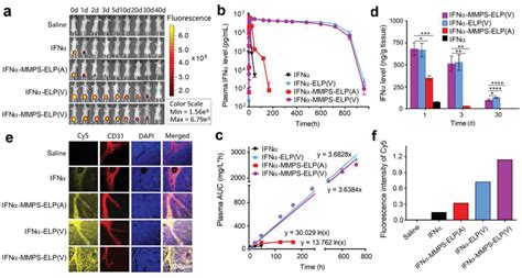 Pharmacokinetics Biodistribution And Tumor Penetration Of