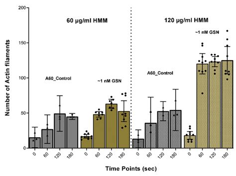 Number Of Actin Filaments In The In Vitro Motility Assay At Different