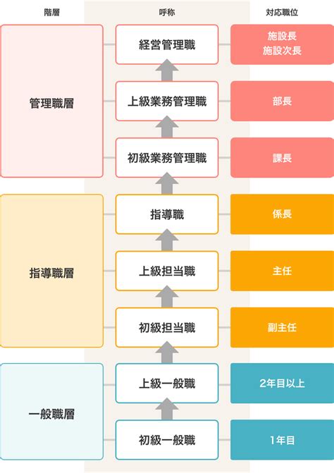 研修・キャリアパス 特別養護老人ホーム高麓 採用サイト