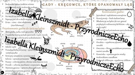 Sketchnotka notatka Gady kręgowce które opanowały ląd wykonana w