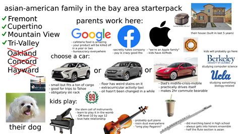 Asian Americans In The Bay Area Starterpack R Starterpacks Starter