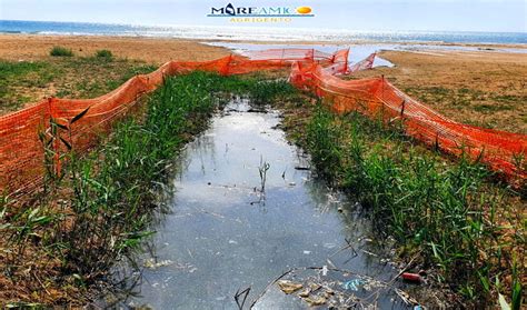 Mareamico Denuncia La Spiaggia Di Porto Empedocle Invasa Dalle Fogne