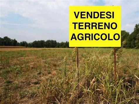 Terreno Agricolo Via Boccadespin Ospedaletto Euganeo Rif