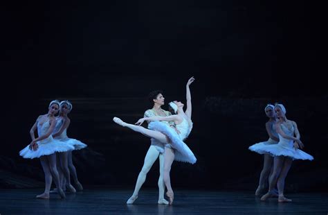 Five Reasons Swan Lake Is The Most Timeless Ballet English National Ballet