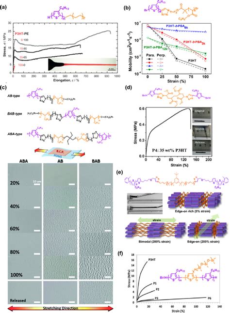 Intrinsically Stretchable Semiconducting Polymers Developed Based On