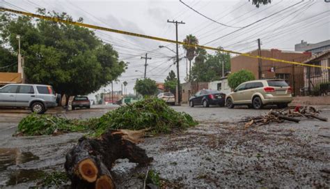 Van Mil Toneladas De Basura Y Lodo Recogidas Tras Las Lluvias