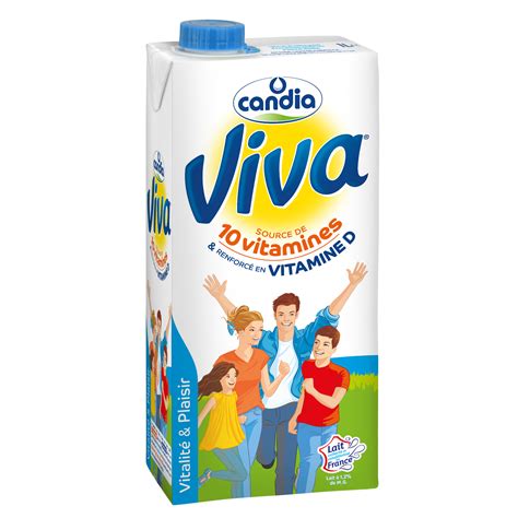 Lait Viva 1 MG UHT Brique 1L Candia Sodiaal Professionnel