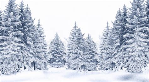 Snow Covered Trees stock image. Image of christmas, january - 1804849