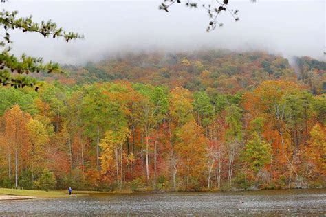 Photos: Fall Colors, Cheaha and Anniston | News | annistonstar.com