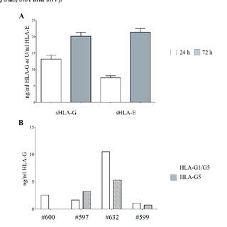 Release Of Hla Class Ib Molecules By Haecs A Soluble S Hla G And