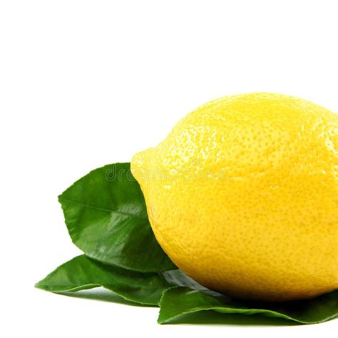 Fresh Lemon With Green Leaves On A White Background Stock Image