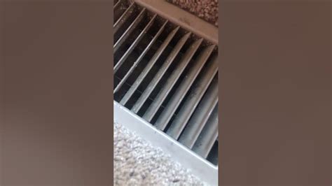 There Is Something In My Vent Scary Youtube