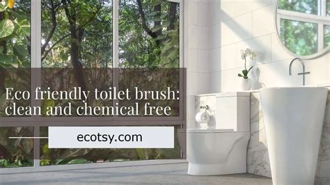 Eco Friendly Toilet Brush Are Here, And They’re Better Than Ever - Ecotsy