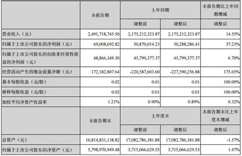 爱康科技上半年净利润同比增加37 23 上市公司股东