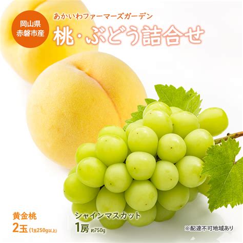 【楽天市場】【ふるさと納税】桃 ぶどう 詰合せ 2025年 先行予約 黄金 桃 2玉（1玉250g以上） シャイン マスカット 1房 約