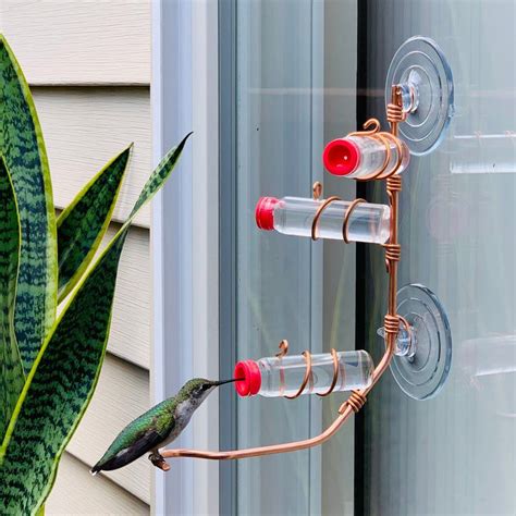 The 12 Best Hummingbird Feeders Of 2021