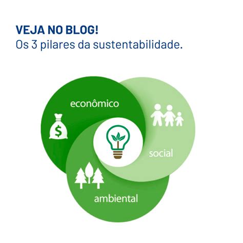 Os Pilares Da Sustentabilidade