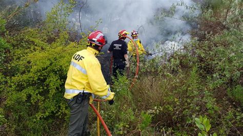 Notícies Unanimitat en la lluita per la prevenció d incendis forestals