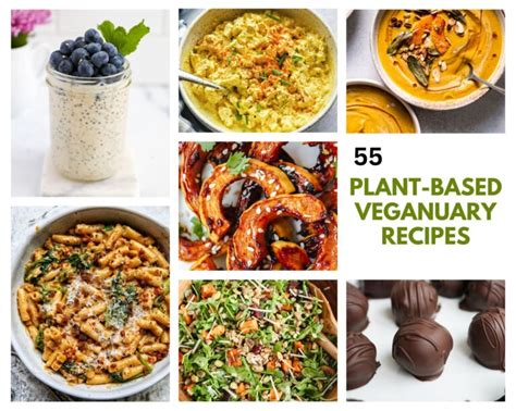 Plant Based Veganuary Recipes Betterfoodguru