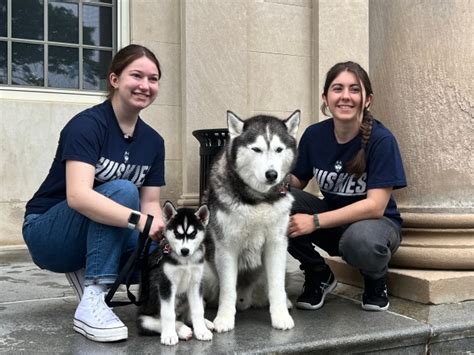 Uconn Announces Jonathan Xv Is Officially Taking Over As Husky Mascot