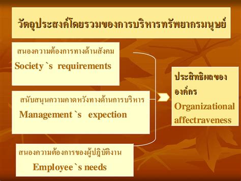 ความรู้เกี่ยวกับการบริหารทรัพยากรมนุษย์ Ppt ดาวน์โหลด