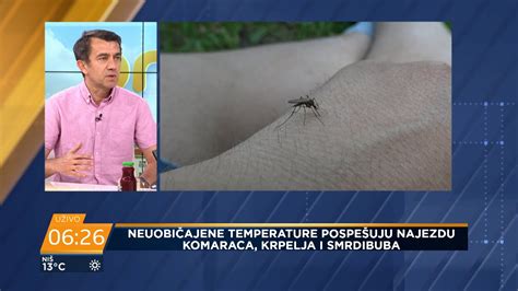 Tople Zime Hladna Prole A O Ekuje Li Nas Najezda Smrdibuba I Komaraca