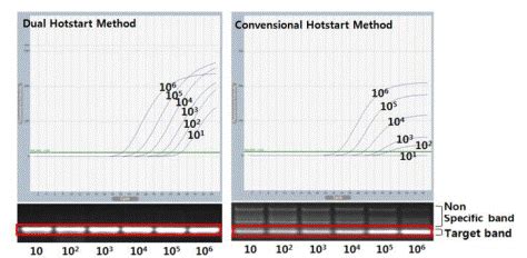 AccuPower Dual HotStart RT QPCR PreMix Master Mix