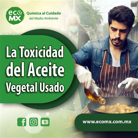 La Toxicidad Del Aceite Vegetal Usado Y Su Impacto En La Salud Humana