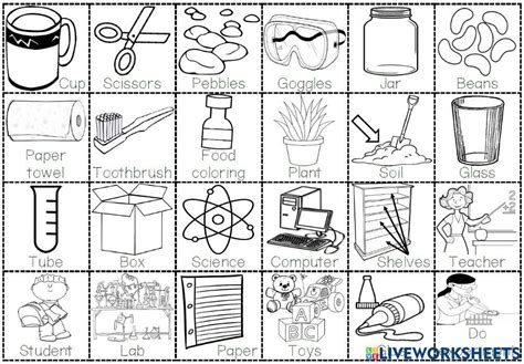 The Worksheet For Making Science Fun With Pictures And Words To Print