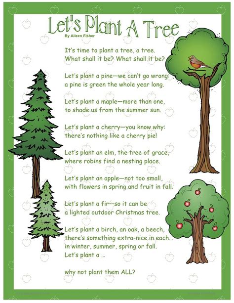 Tree Song Tree Education Pre School