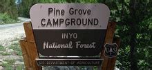 Pine Grove - Campsite Photos and Campground Information