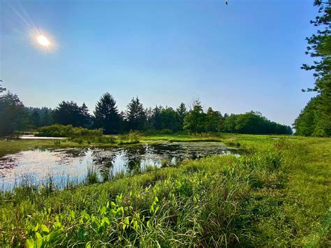 Rattlesnake Hill State Wildlife Management Area – Dalton, NY