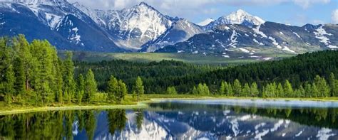 Six Reasons to Study in Siberia