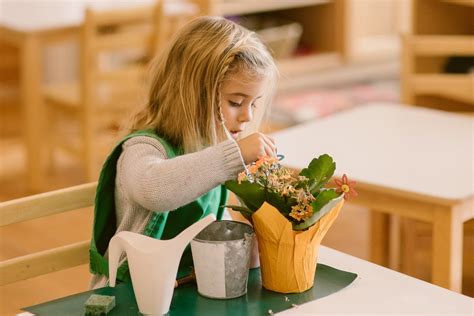 Hollis Montessori School Nh